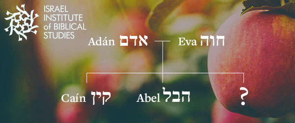 Israel Institute of Biblical Studies